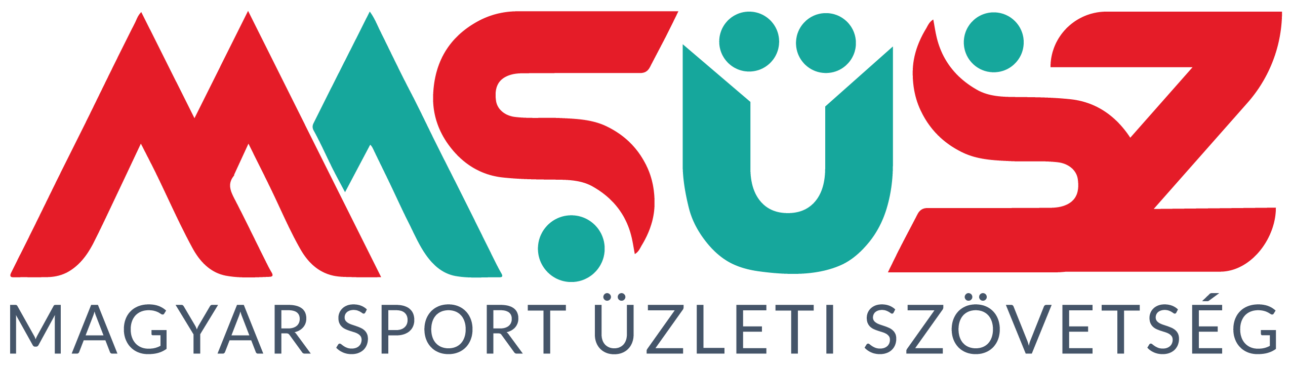 sponsor image